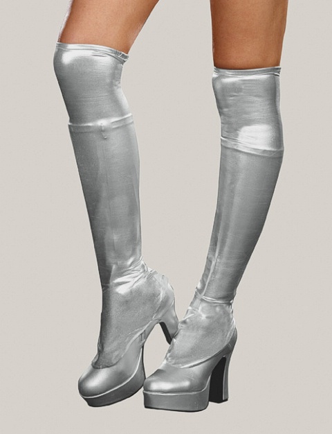 7797 Dreamgirl Boot covers