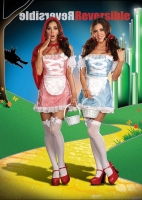 5864 Dreamgirl Costume, Happily Ever After Costume, Fully Reversible