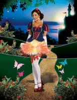 7533 Dreamgirl Costume, Snow Light Bright Stretch velvet knit dress w