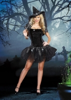 8113 Dreamgirl Costumes, Starry Night Witch Easy to wear tube style d