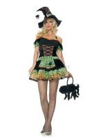 83273 Leg Avenue Costumes,  Costume, black widow witch costume in