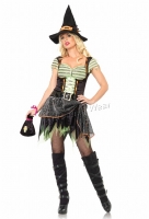 83551 Leg Avenue Costume, Spider Web Witch Costume, Includes dress wi